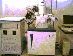 Scanning Tunneling Microscope